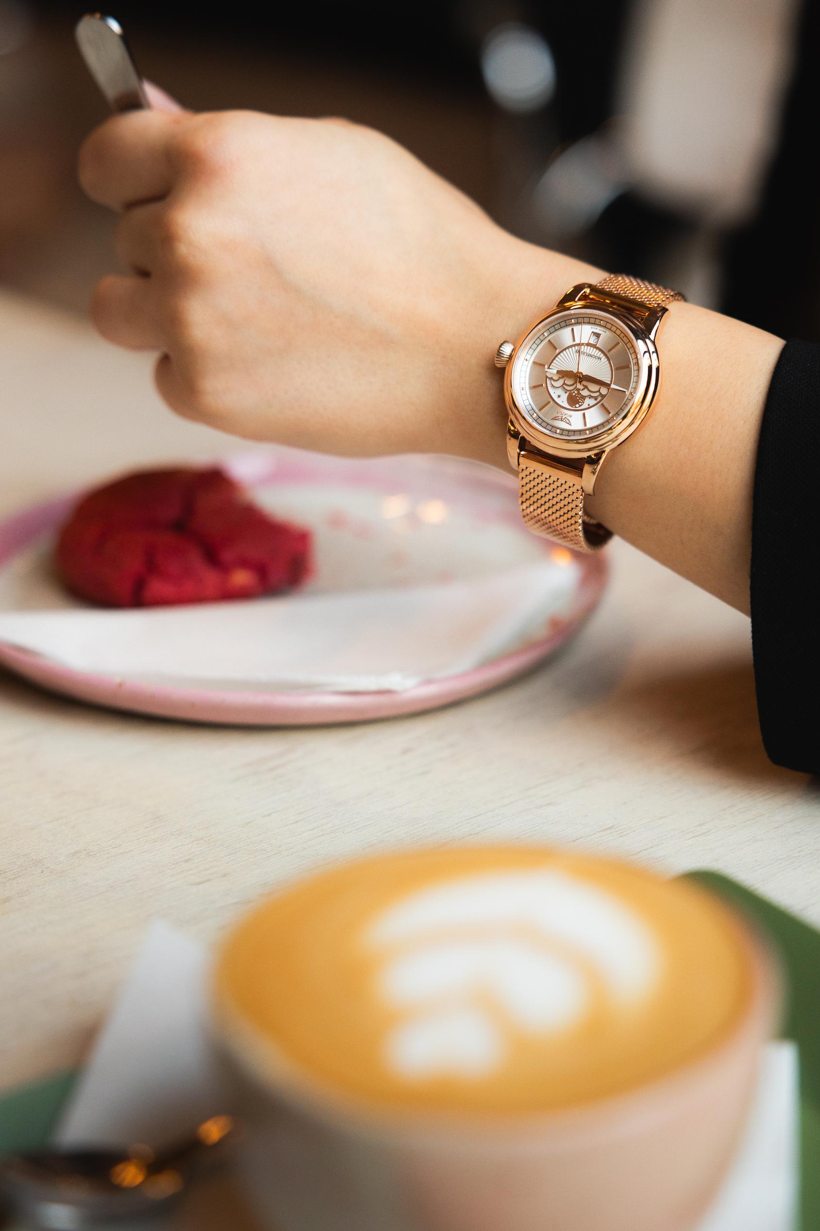 HODINKY AVIATOR SWISS DOUGLAS MOONFLIGHT V.1.33.2.251.4