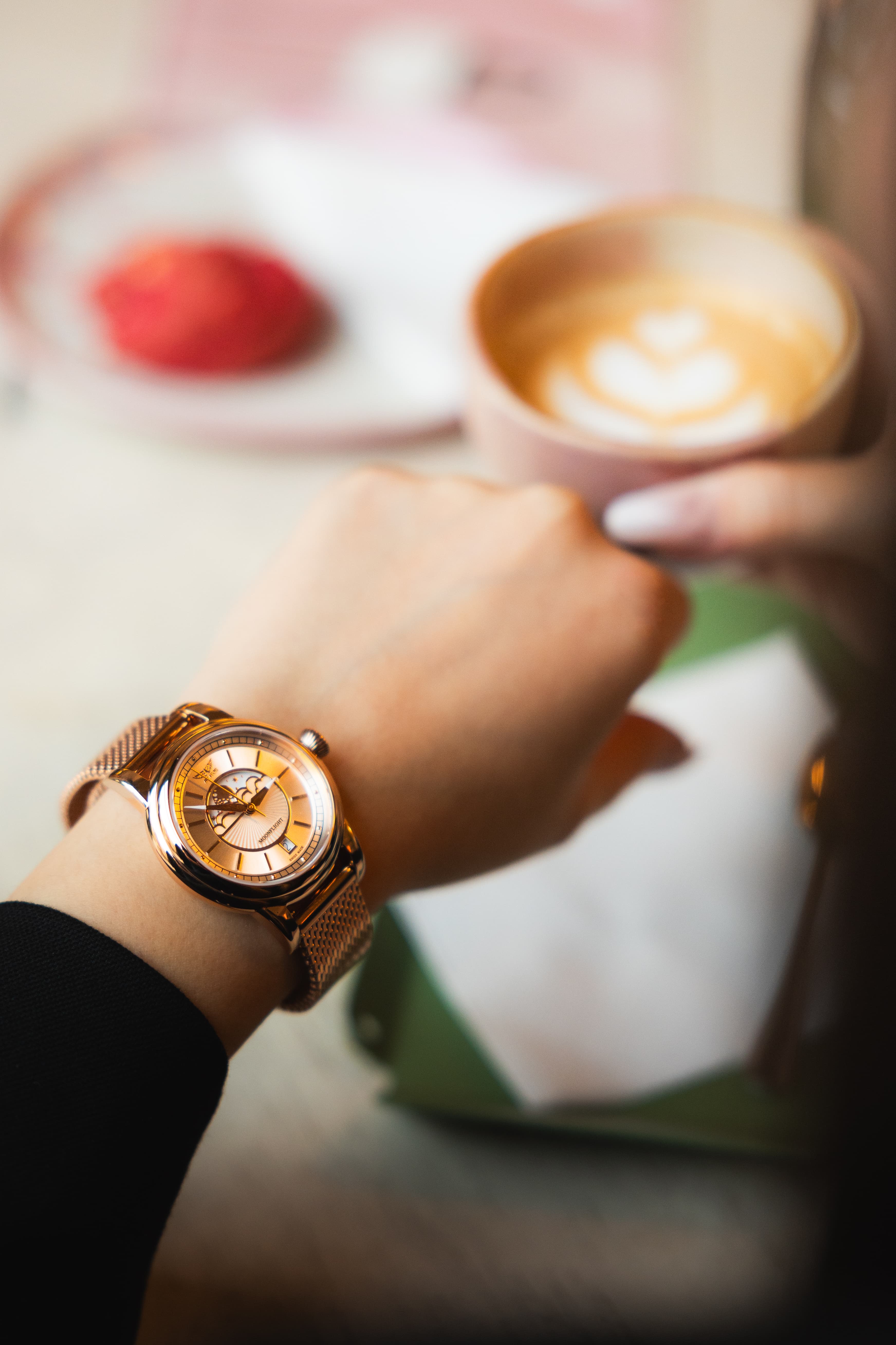 HODINKY AVIATOR SWISS DOUGLAS MOONFLIGHT V.1.33.2.251.4